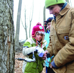 Kelly Elementary second grade student Sophie Kilbride helps Debra Steransky turn a hand drill to tap a maple tree during a field trip to the PPL Montour Preserve in 2013.