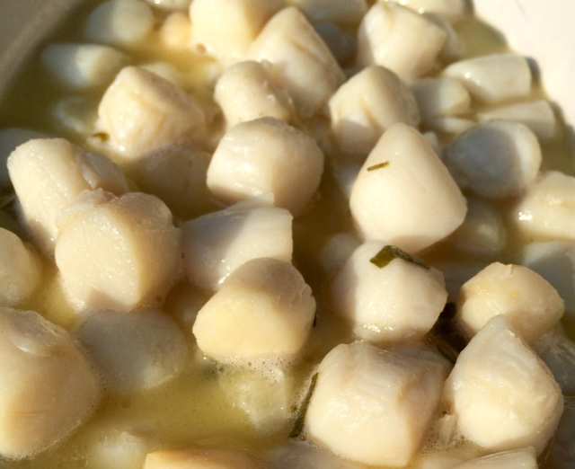 Kiss the Cook: Scallops in creamy white wine sauce